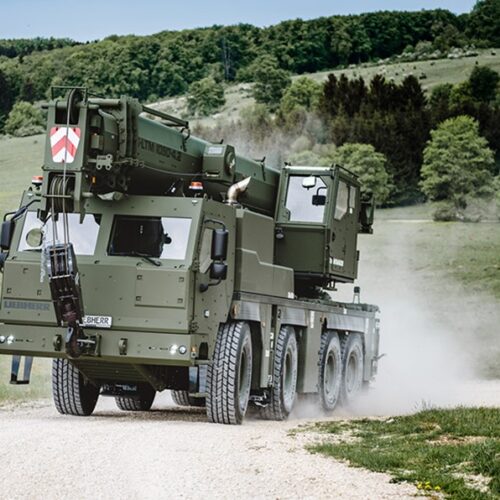 Boom Crane